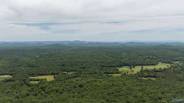 51 Acres of Land for Sale in Gaylesville, Alabama