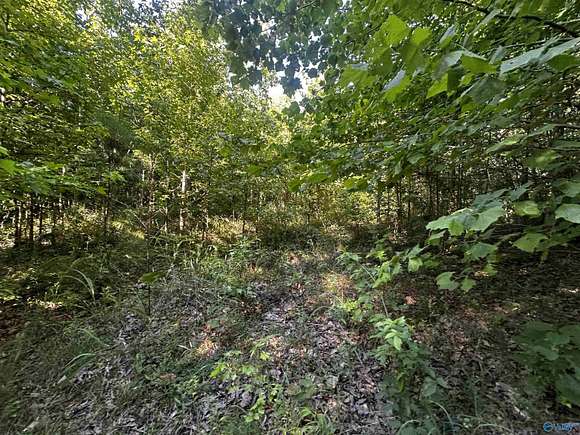 12.19 Acres of Land for Sale in Fort Payne, Alabama