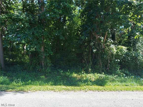 0.344 Acres of Residential Land for Sale in Akron, Ohio