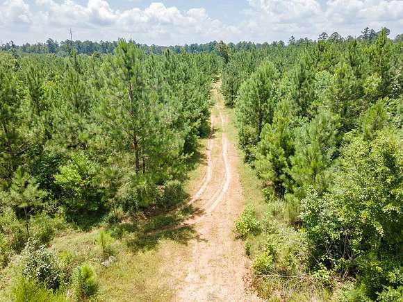 24.43 Acres of Recreational Land for Sale in Huntington, Texas