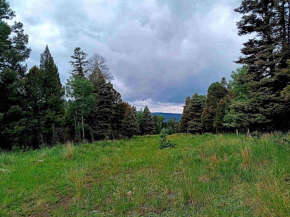 0.75 Acres of Residential Land for Sale in Angel Fire, New Mexico