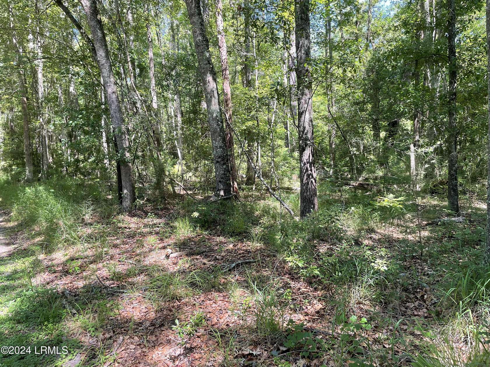 4.4 Acres of Residential Land for Sale in Ridgeland, South Carolina