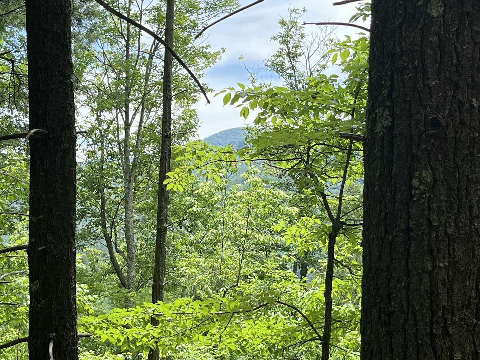 87 Acres of Recreational & Residential Land for Sale in Hartford, Tennessee