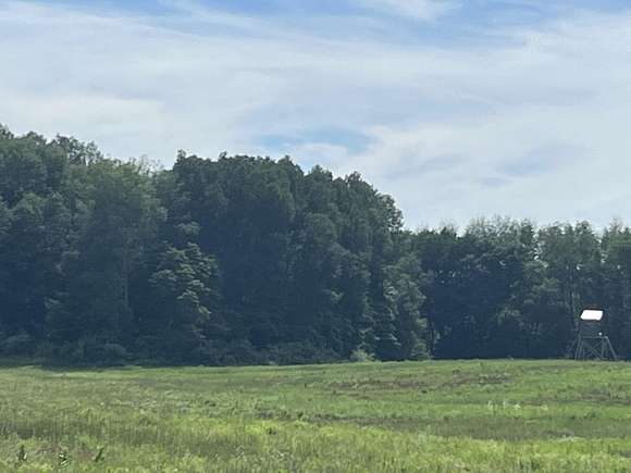 40 Acres of Recreational Land & Farm for Sale in Lakeview, Michigan