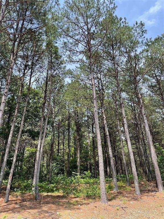 1.109 Acres of Residential Land for Sale in Broken Bow, Oklahoma