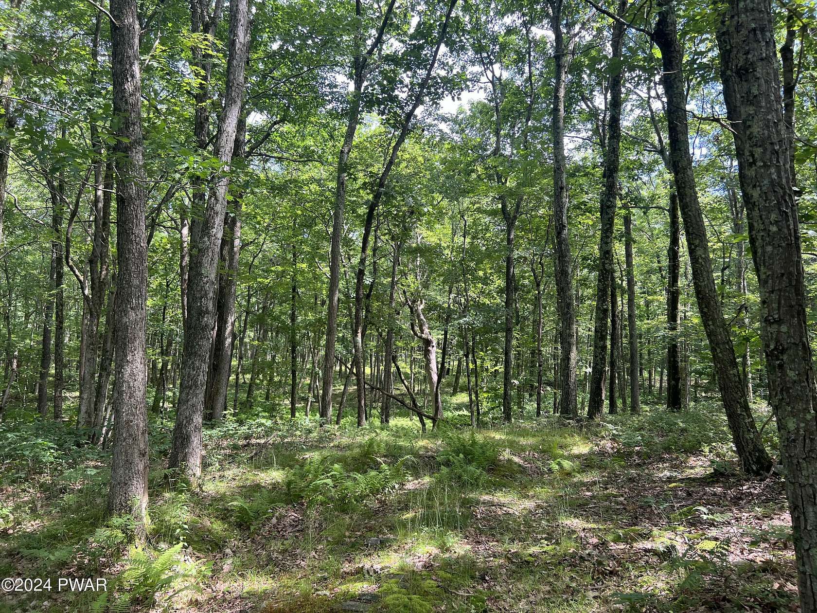 7.72 Acres of Residential Land for Sale in Canadensis, Pennsylvania