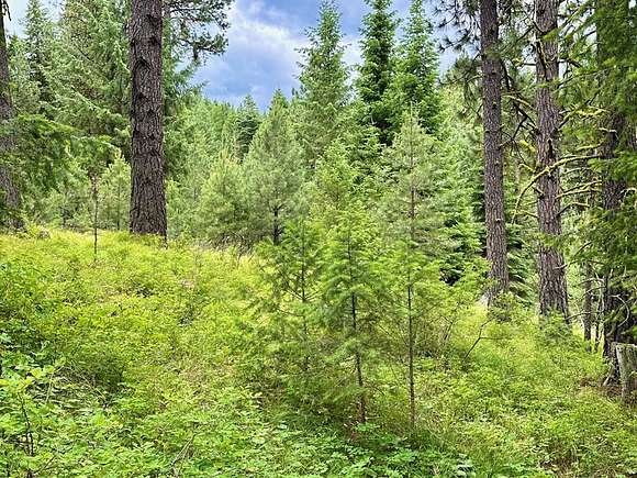0.87 Acres of Residential Land for Sale in Cascade, Idaho