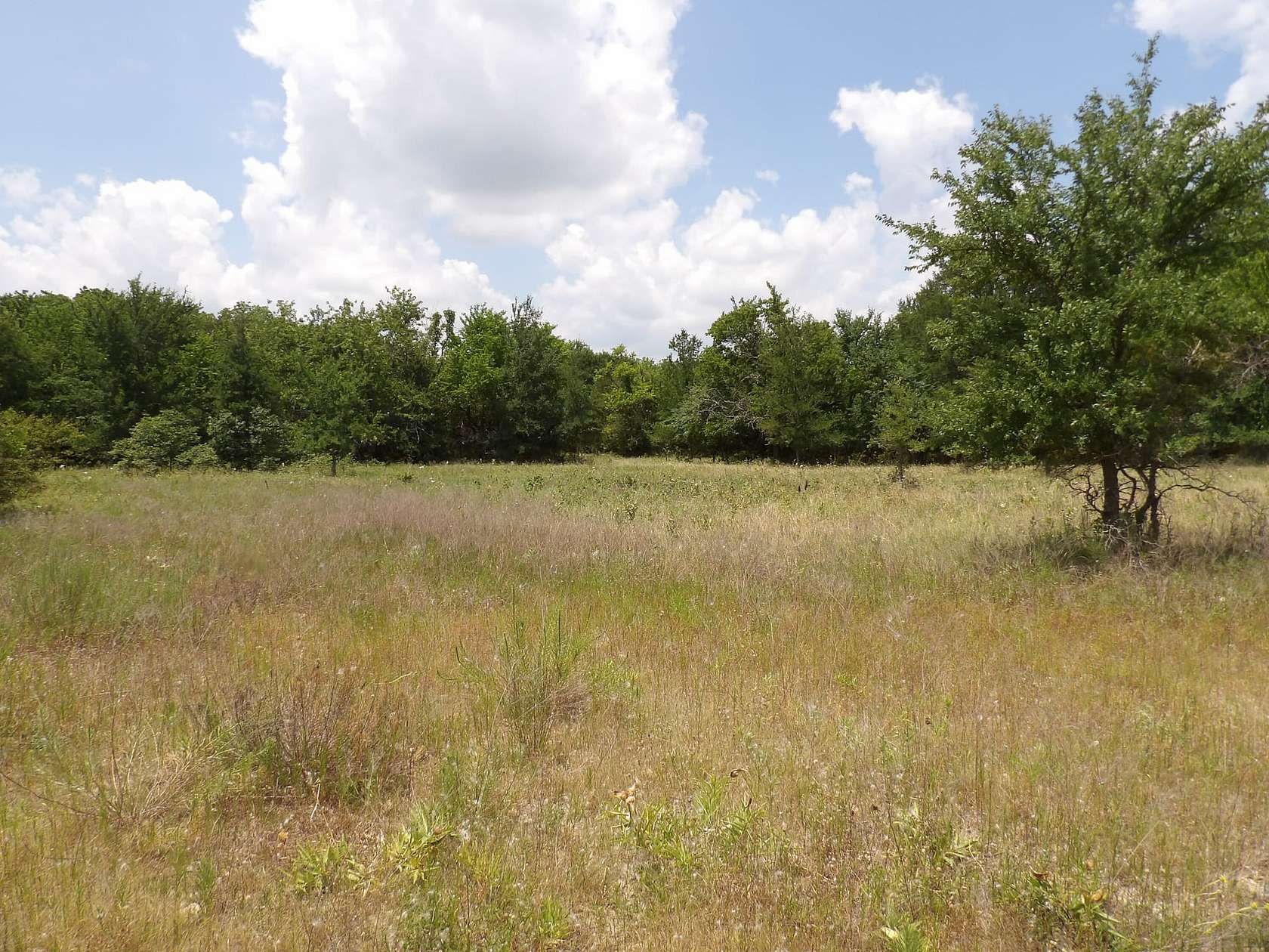 25 Acres of Recreational Land for Sale in Boswell, Oklahoma - LandSearch