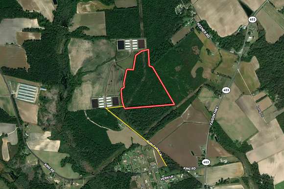 48.17 Acres of Recreational Land for Sale in Clinton, North Carolina