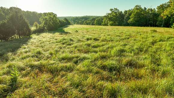 80 Acres of Recreational Land & Farm for Sale in Willow Springs, Missouri