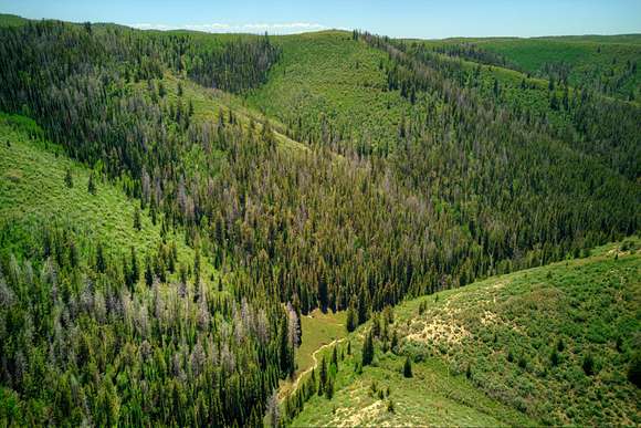 7,044 Acres of Recreational Land for Sale in Meeker, Colorado