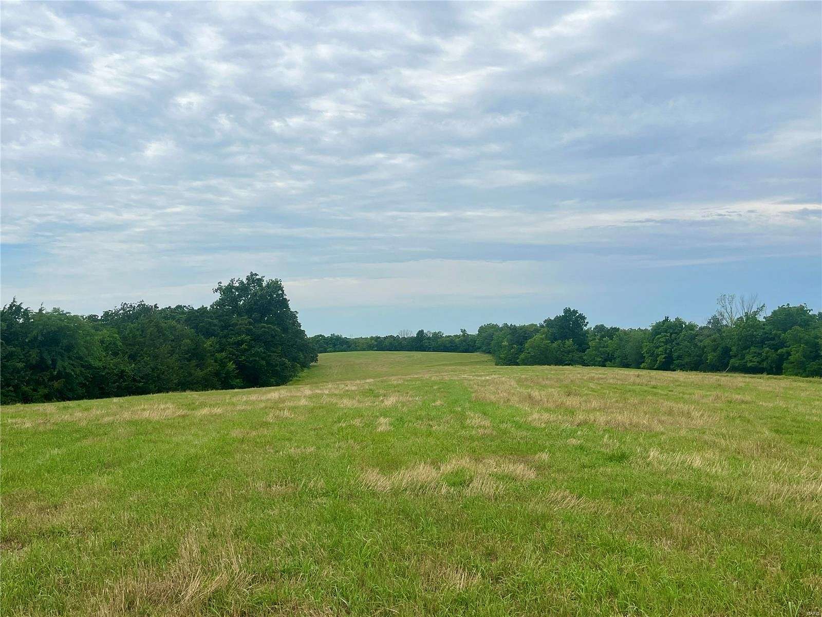 49.1 Acres of Agricultural Land for Sale in Villa Ridge, Missouri