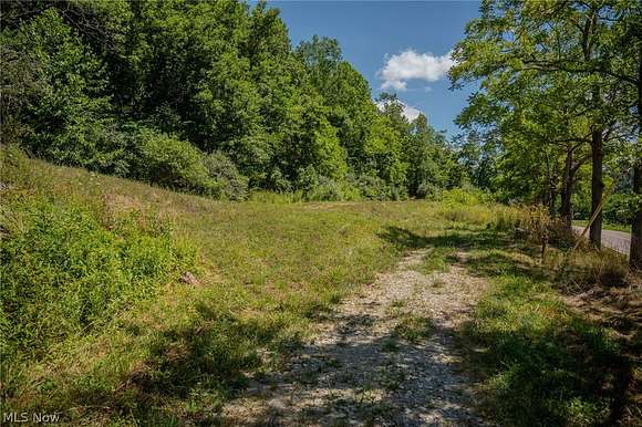 88.65 Acres of Recreational Land for Sale in Lower Salem, Ohio