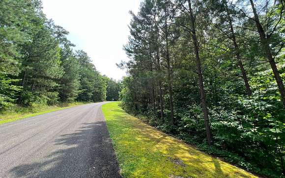 1.24 Acres of Residential Land for Sale in Ellijay, Georgia