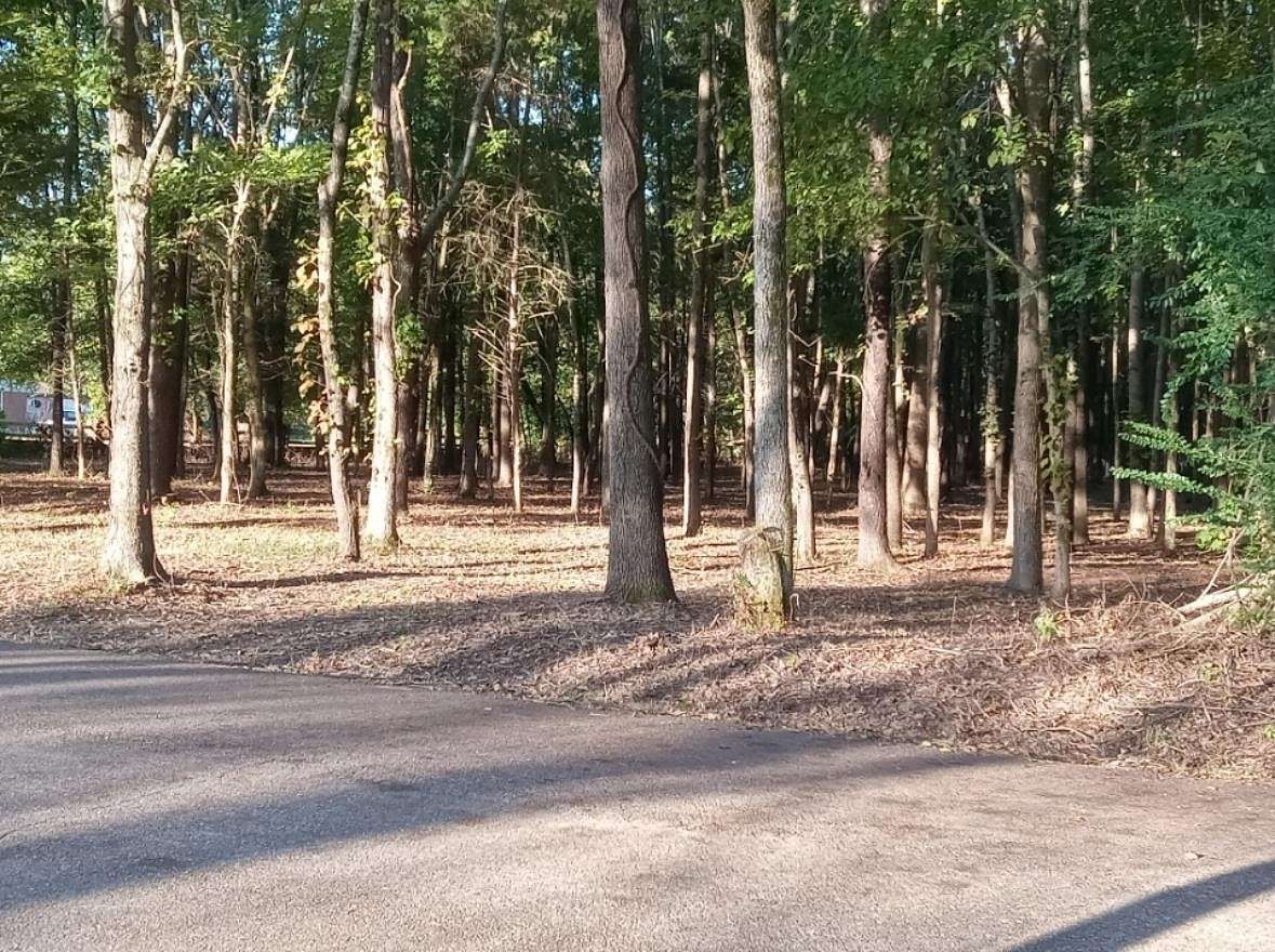 2.01 Acres of Residential Land for Sale in Oakland, Tennessee