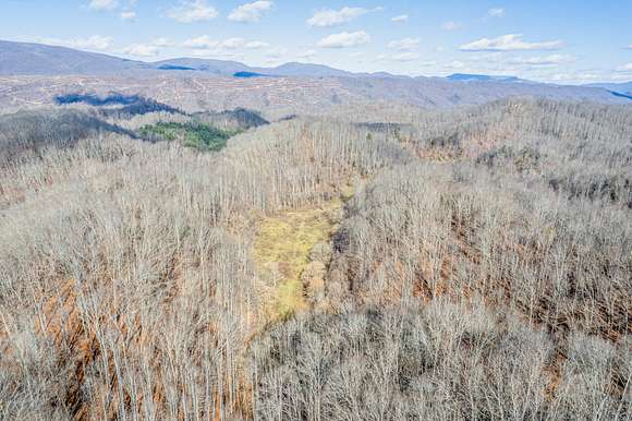 109.74 Acres of Recreational Land for Sale in Abingdon, Virginia