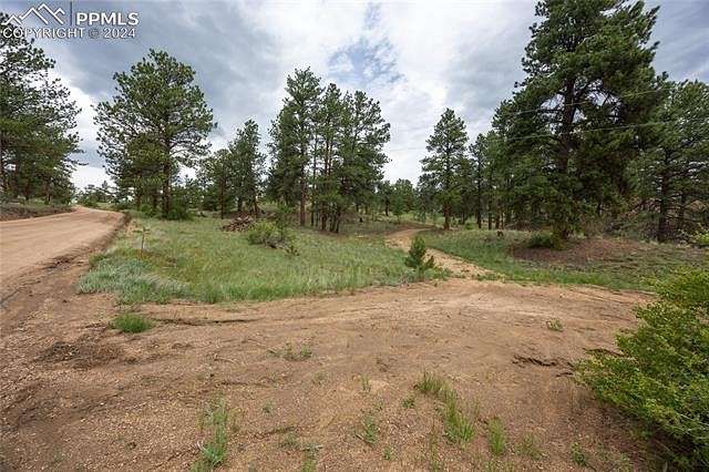 4.01 Acres of Residential Land for Sale in Florissant, Colorado