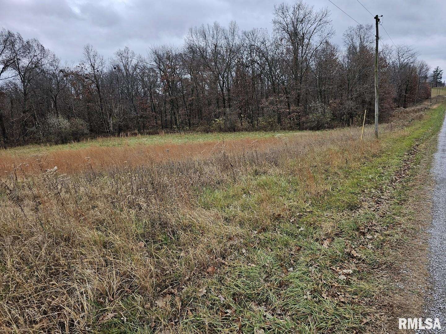 1 Acre of Residential Land for Sale in Woodlawn, Illinois