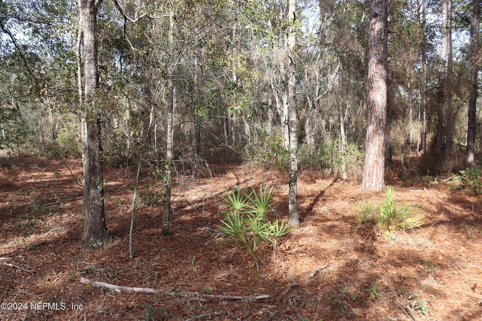 1.25 Acres of Residential Land for Sale in Keystone Heights, Florida