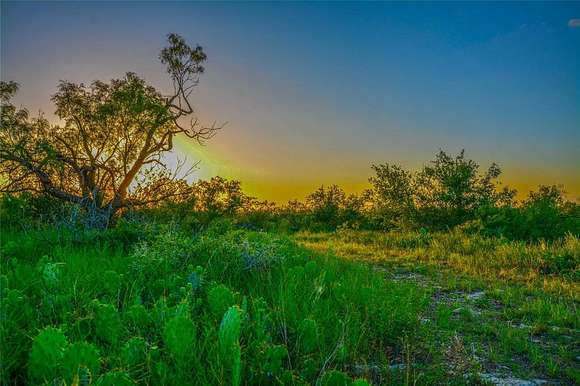 845 Acres of Improved Land for Sale in Voss, Texas - LandSearch