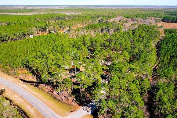 39.64 Acres of Improved Mixed-Use Land for Sale in Waycross, Georgia