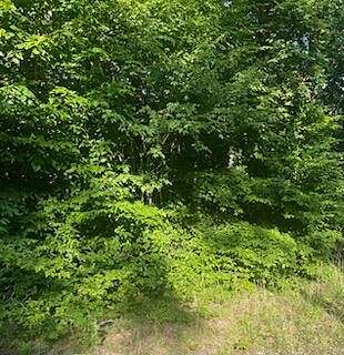 0.92 Acres of Land for Sale in Jabez, Kentucky