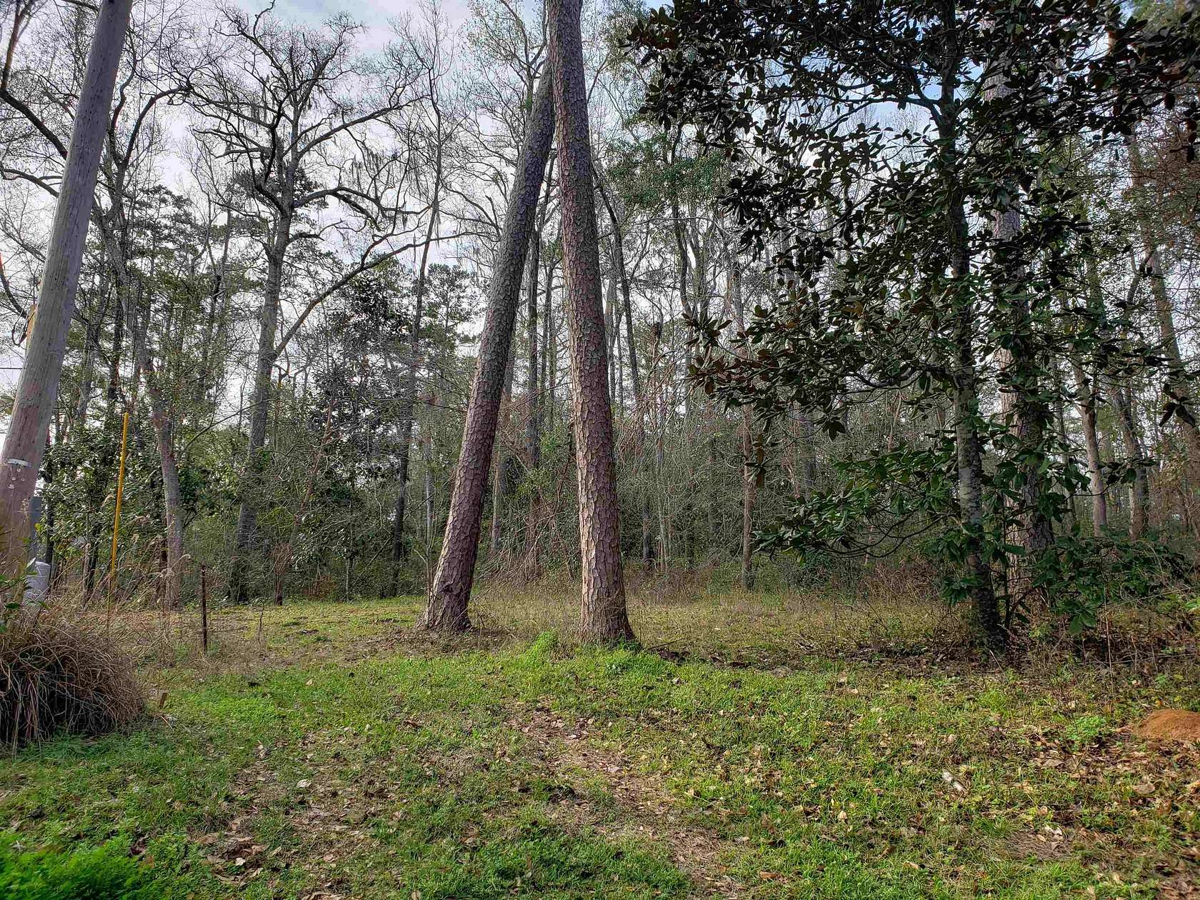 1.72 Acres of Residential Land for Sale in Tallahassee, Florida