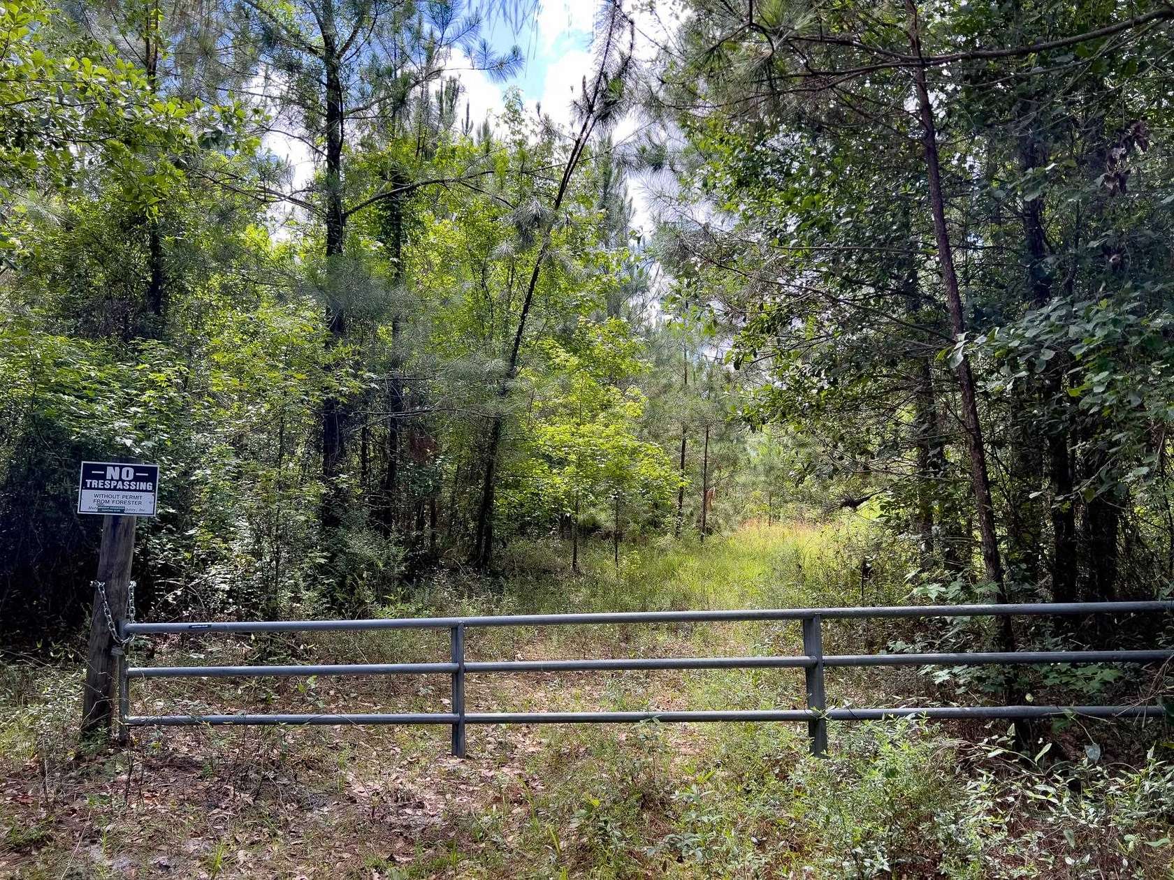 45 Acres of Recreational Land for Sale in Mayo, Florida
