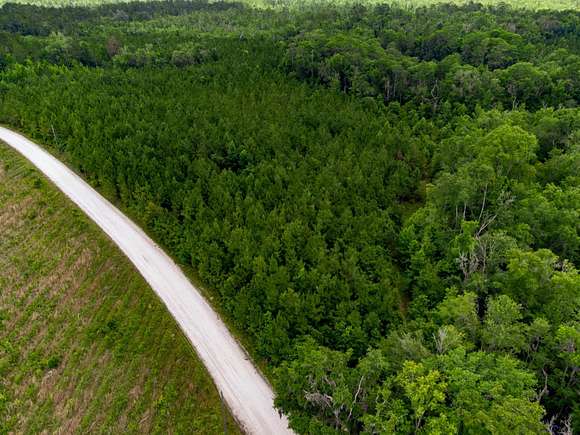 40.01 Acres of Recreational Land for Sale in Mayo, Florida