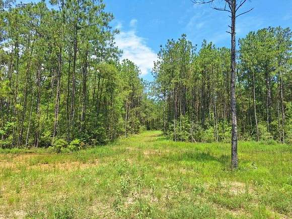 11.85 Acres of Land for Sale in Buna, Texas