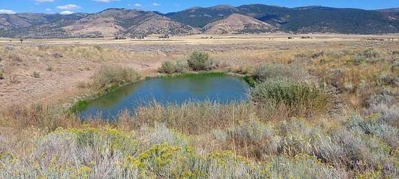 30 Acres of Agricultural Land for Sale in Davis Creek, California