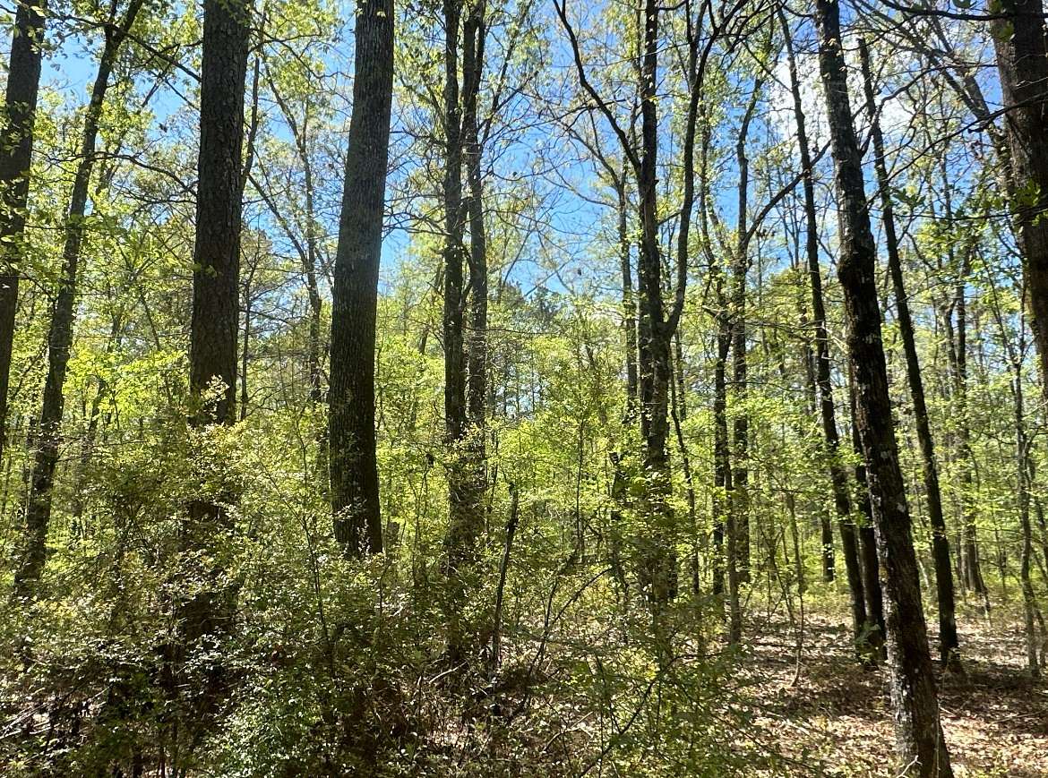 60 Acres of Land for Sale in Hampton, Arkansas