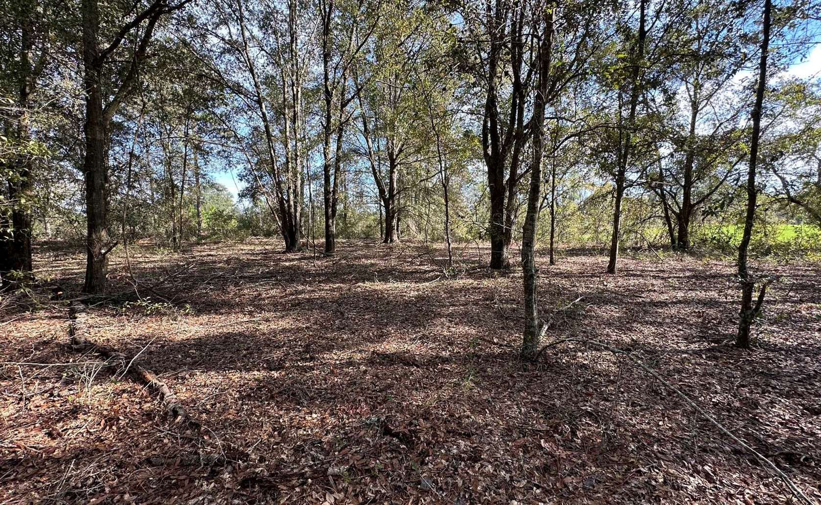13.16 Acres of Land for Sale in Bell, Florida