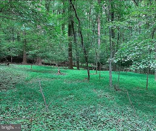 1.15 Acres of Residential Land for Sale in Silver Spring, Maryland