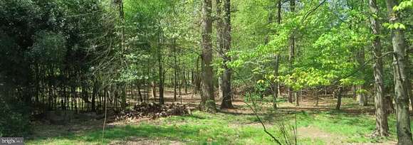0.38 Acres of Residential Land for Sale in Silver Spring, Maryland