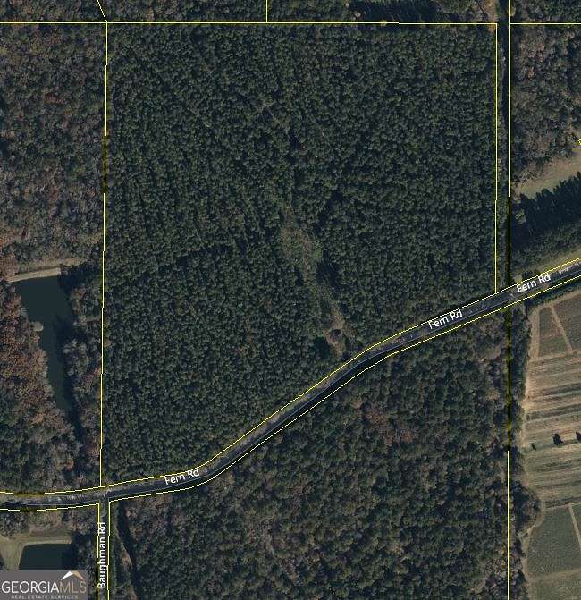 44.81 Acres of Land for Sale in Woodbury, Georgia