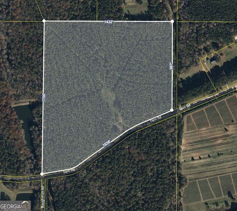 44.81 Acres of Land for Sale in Woodbury, Georgia