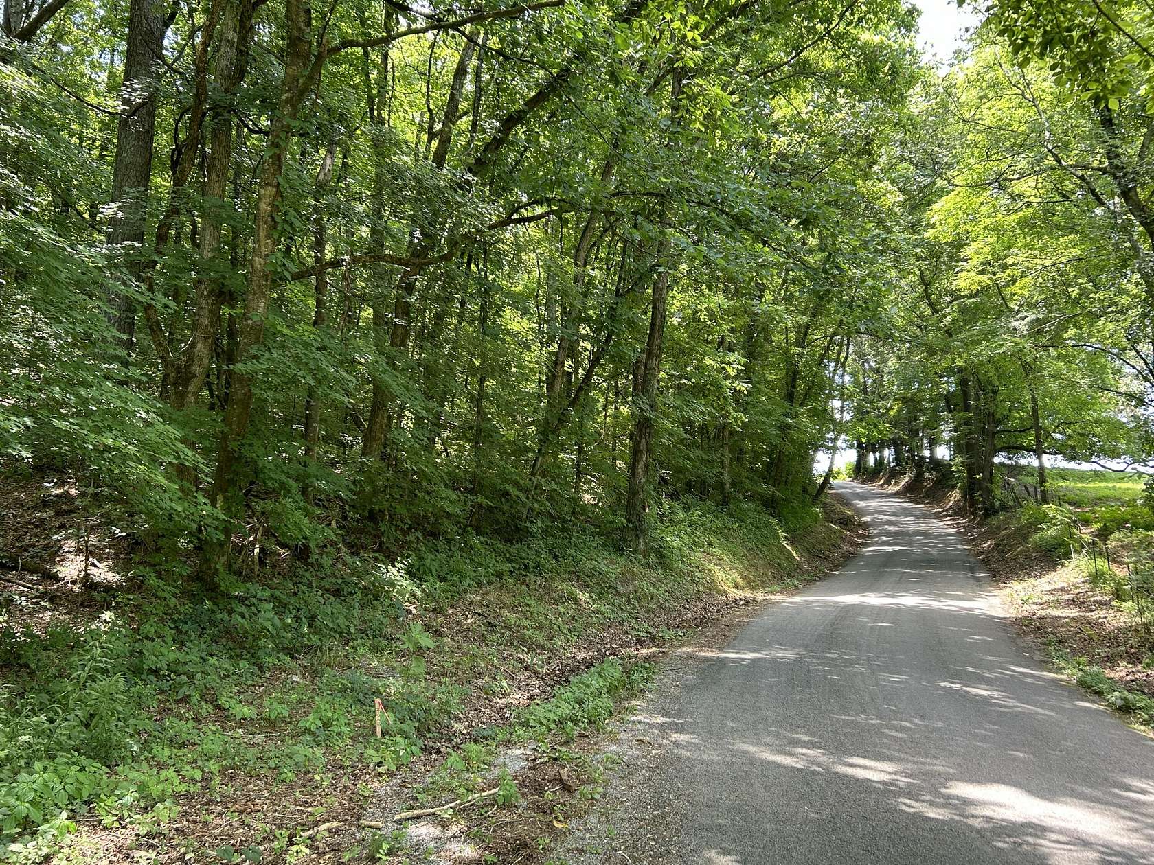 10.69 Acres of Land for Sale in Etowah, Tennessee