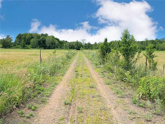44.75 Acres of Land for Sale in Foreston, Minnesota