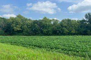 5 Acres of Residential Land for Sale in Sullivan, Illinois