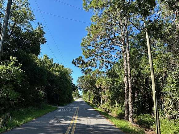 10 Acres of Residential Land for Sale in Osteen, Florida