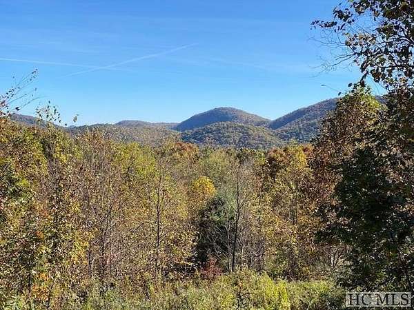 77.5 Acres of Land for Sale in Glenville, North Carolina