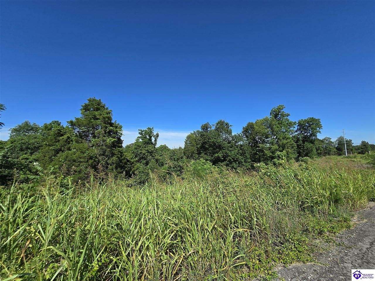 36.28 Acres of Land for Sale in Brandenburg, Kentucky