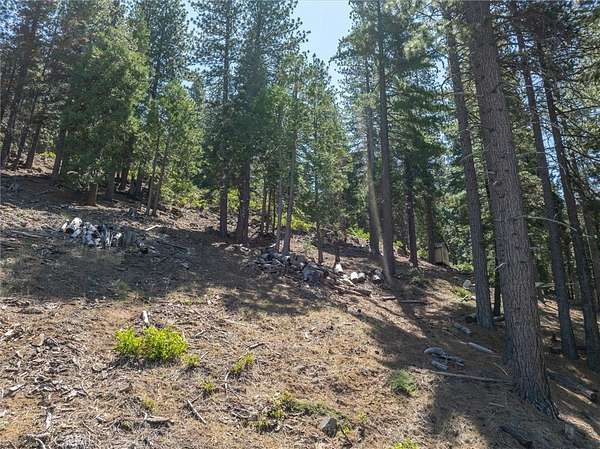 0.28 Acres of Land for Sale in Wawona, California
