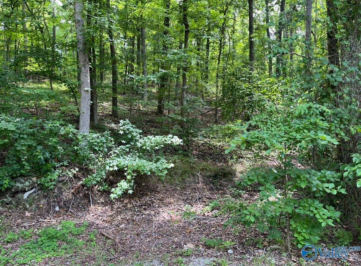 0.66 Acres of Land for Sale in Southside, Alabama