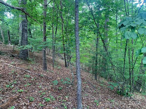 0.48 Acres of Land for Sale in Lake Lure, North Carolina