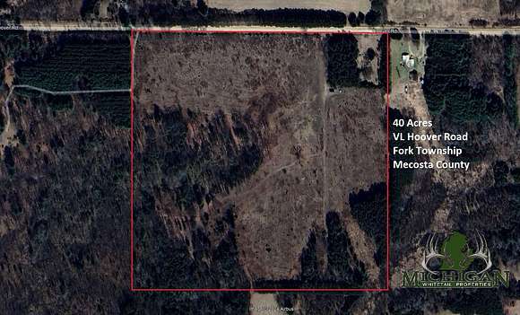 40 Acres of Recreational Land for Sale in Barryton, Michigan