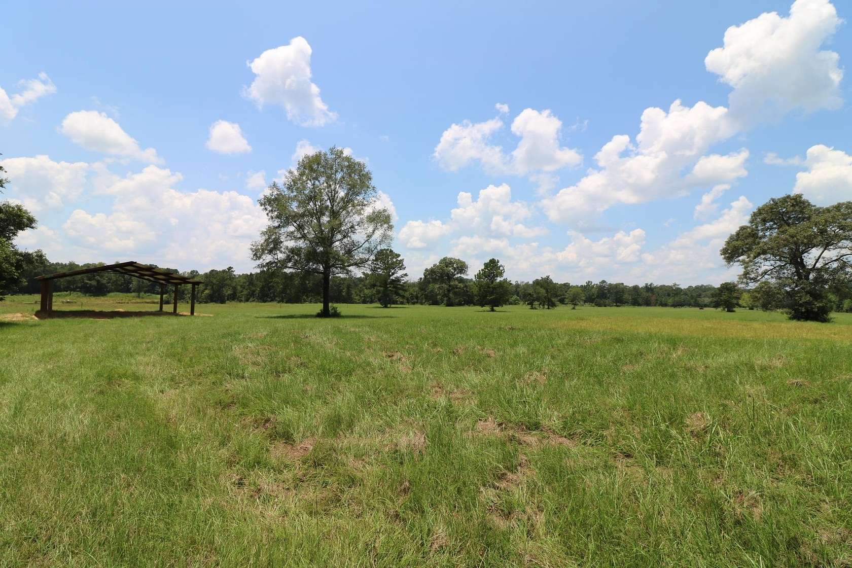 12 Acres of Land for Sale in Kirbyville, Texas