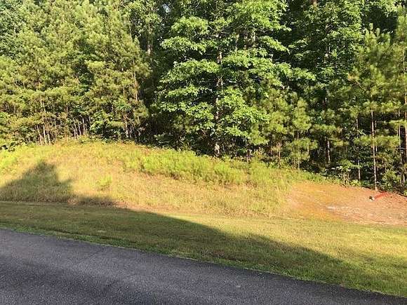 1 Acres of Residential Land for Sale in Double Springs, Alabama