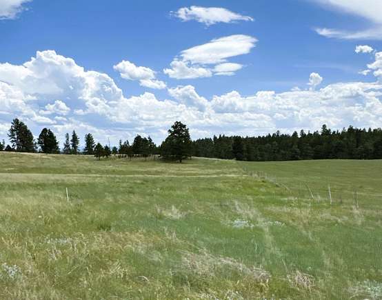 39.66 Acres of Land for Sale in Hulett, Wyoming